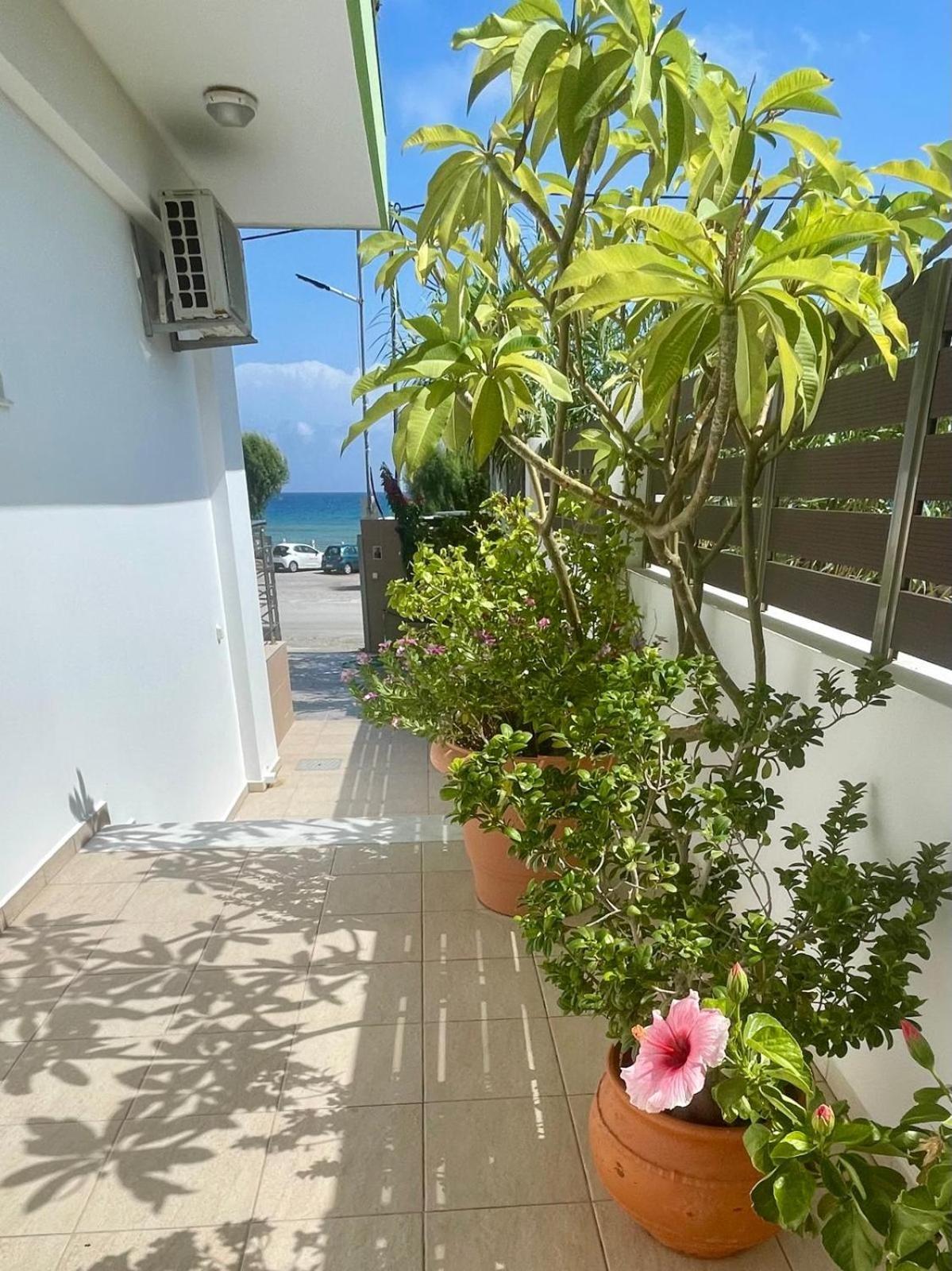 Red Hibiscus Stegna Archangelos (Rhodes) Exterior foto